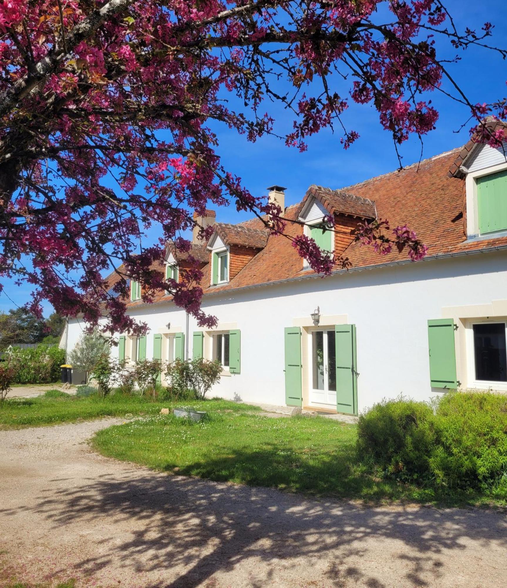 L Amalia Au Coeur Des Chateaux De La Loire Et Du Zoo De Beauval Sambin エクステリア 写真